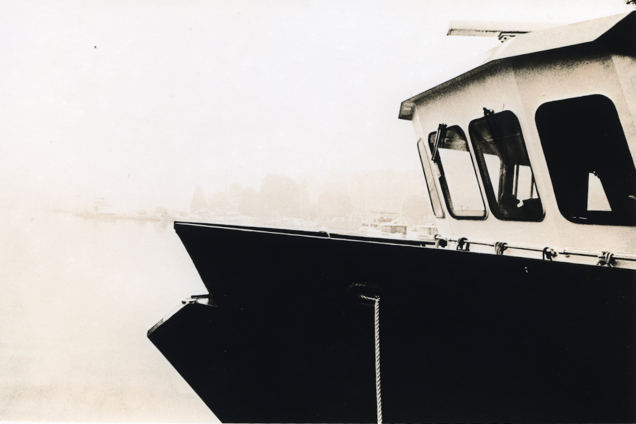 High contrast lith print with pale highlights and dense blacks