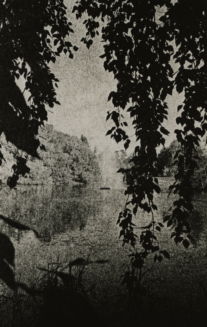 Detail showing lith grain structure