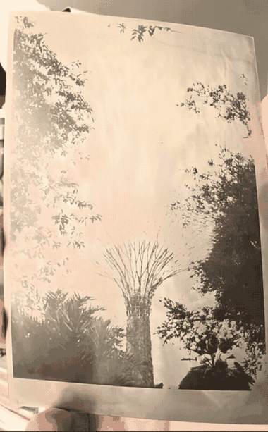 Animated loop of a hand tilting a silver mirror toned print of a Supertree, the sky flaring and shifting