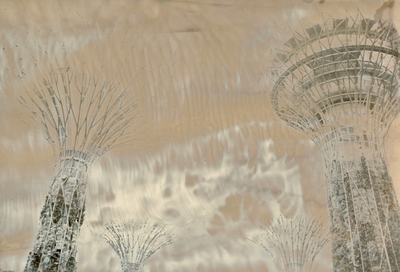 Three Supertrees against a heavily streaked and mottled metallic sky
